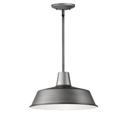 Pier M 14" Pendant, Weathered Zinc Finish - Bees Lighting