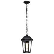 East River 15" Outdoor Hanging Light, Matte Black Finish - Bees Lighting