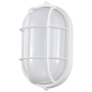 11" LED Oval Bulk Head Light, White Glass - Bees Lighting