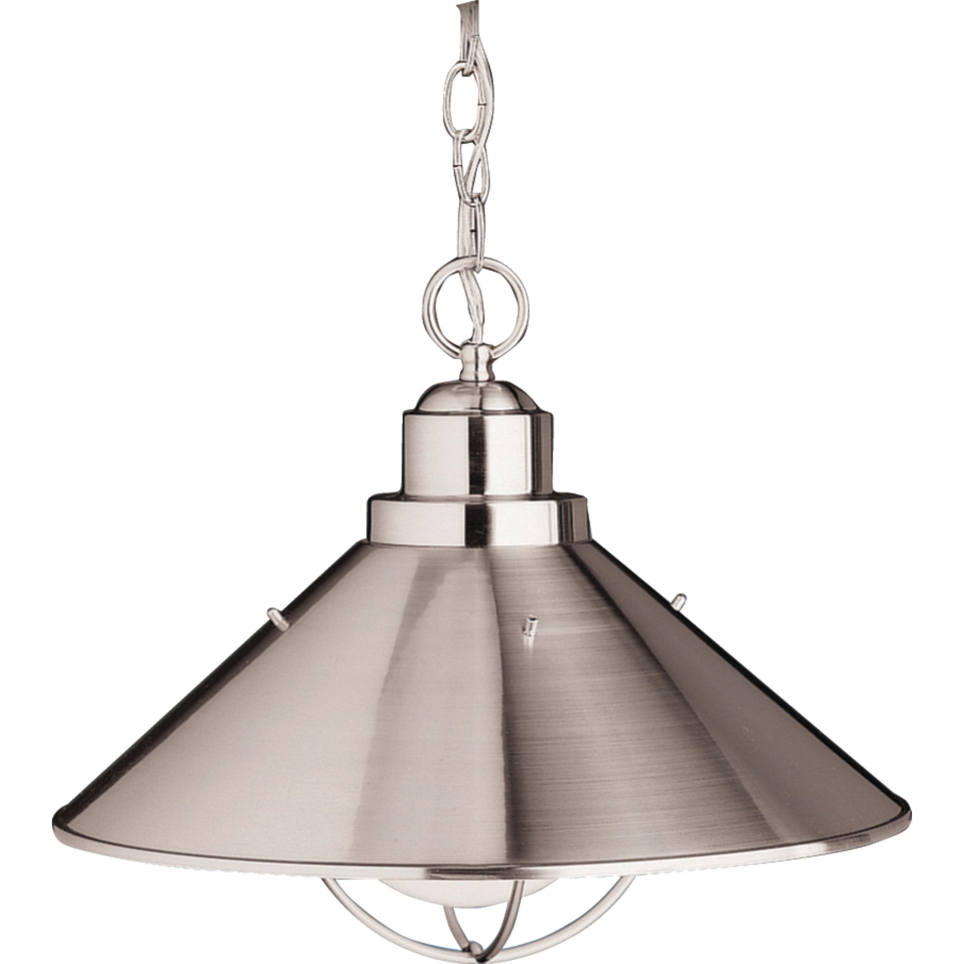 Seaside 16" Outdoor Pendant, Brushed Nickel Finish - Bees Lighting
