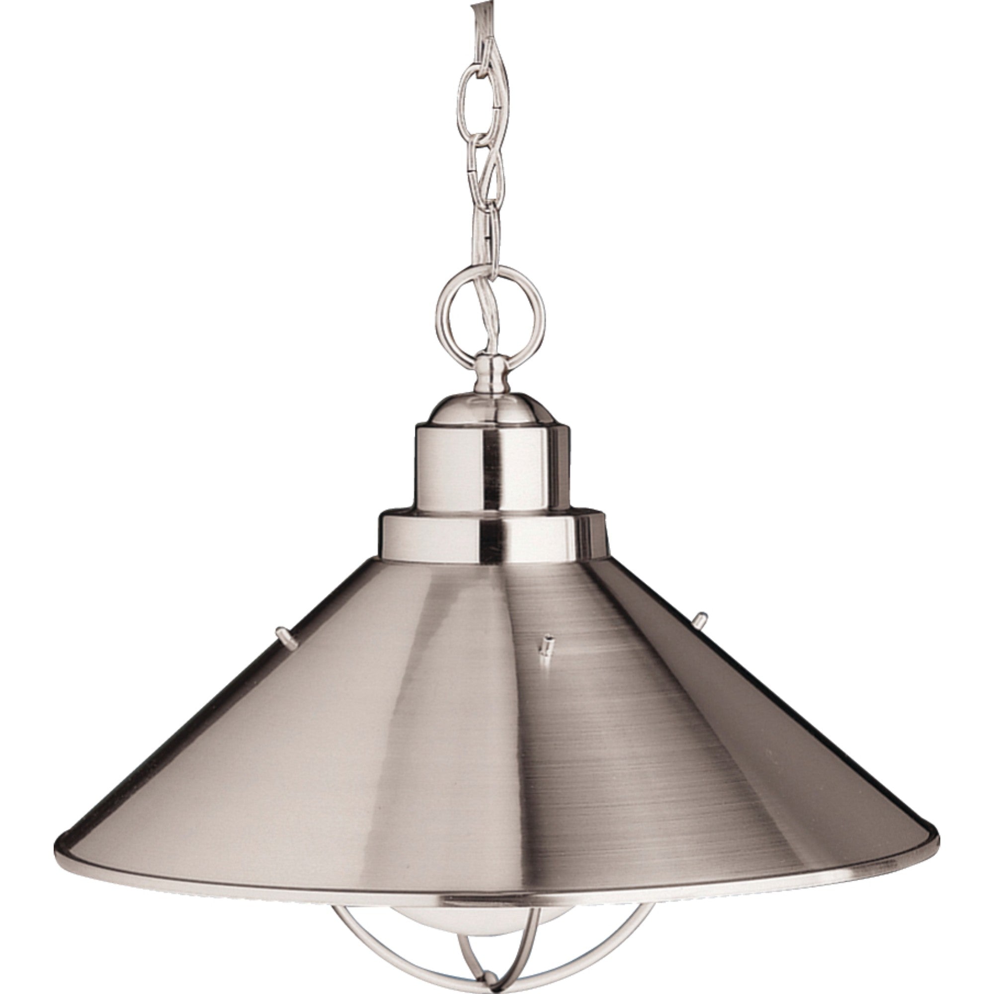 Seaside 16" Outdoor Pendant, Brushed Nickel Finish - Bees Lighting