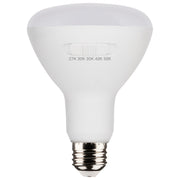 R30/BR30 LED Bulb, 9 Watts, 700 Lumens, 27K|30K|40K|50K, E26 Base, 100° Flood, 6 Pack - Bees Lighting