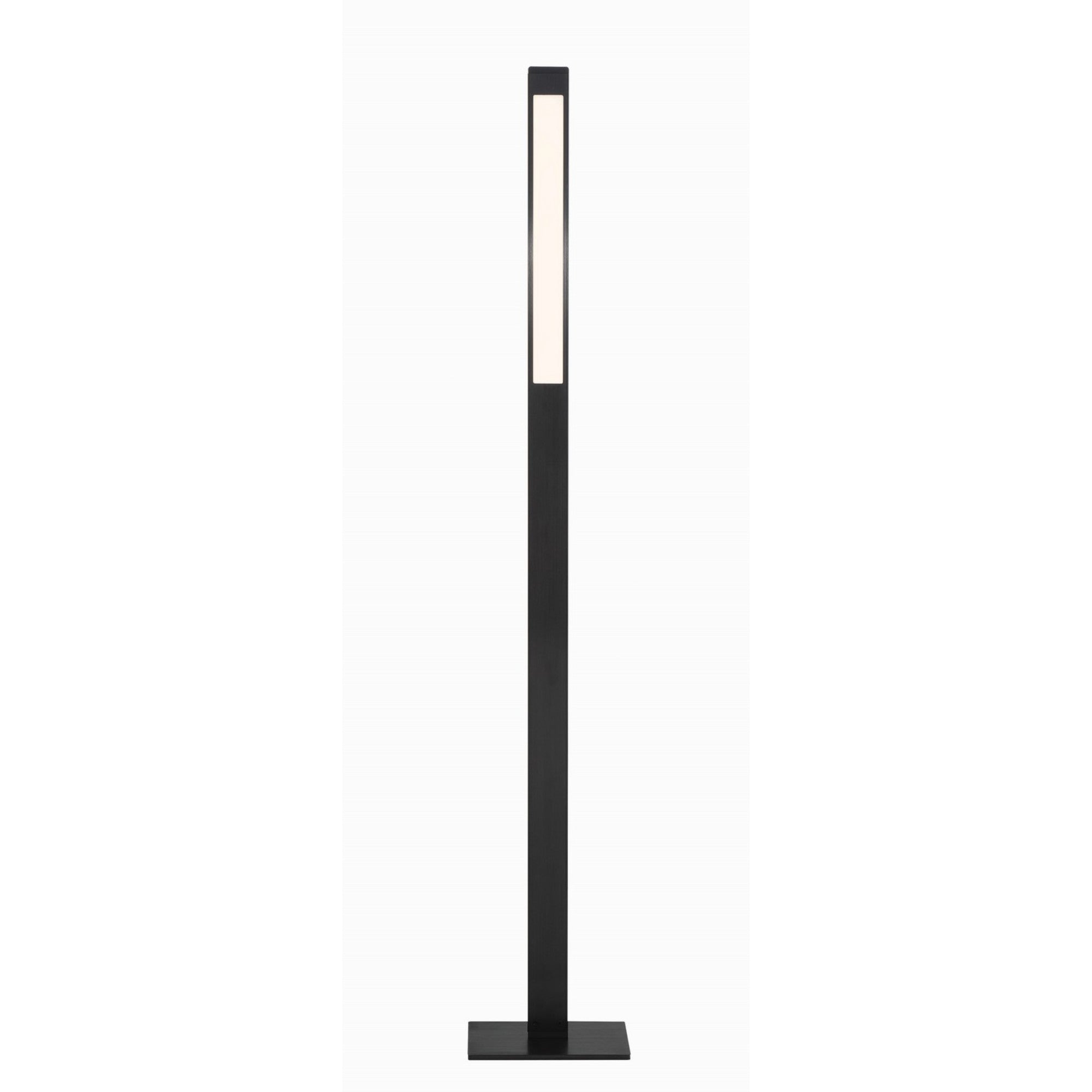 Task Portables LED Floor Lamp, Anodized Brush Coal Finish - Bees Lighting
