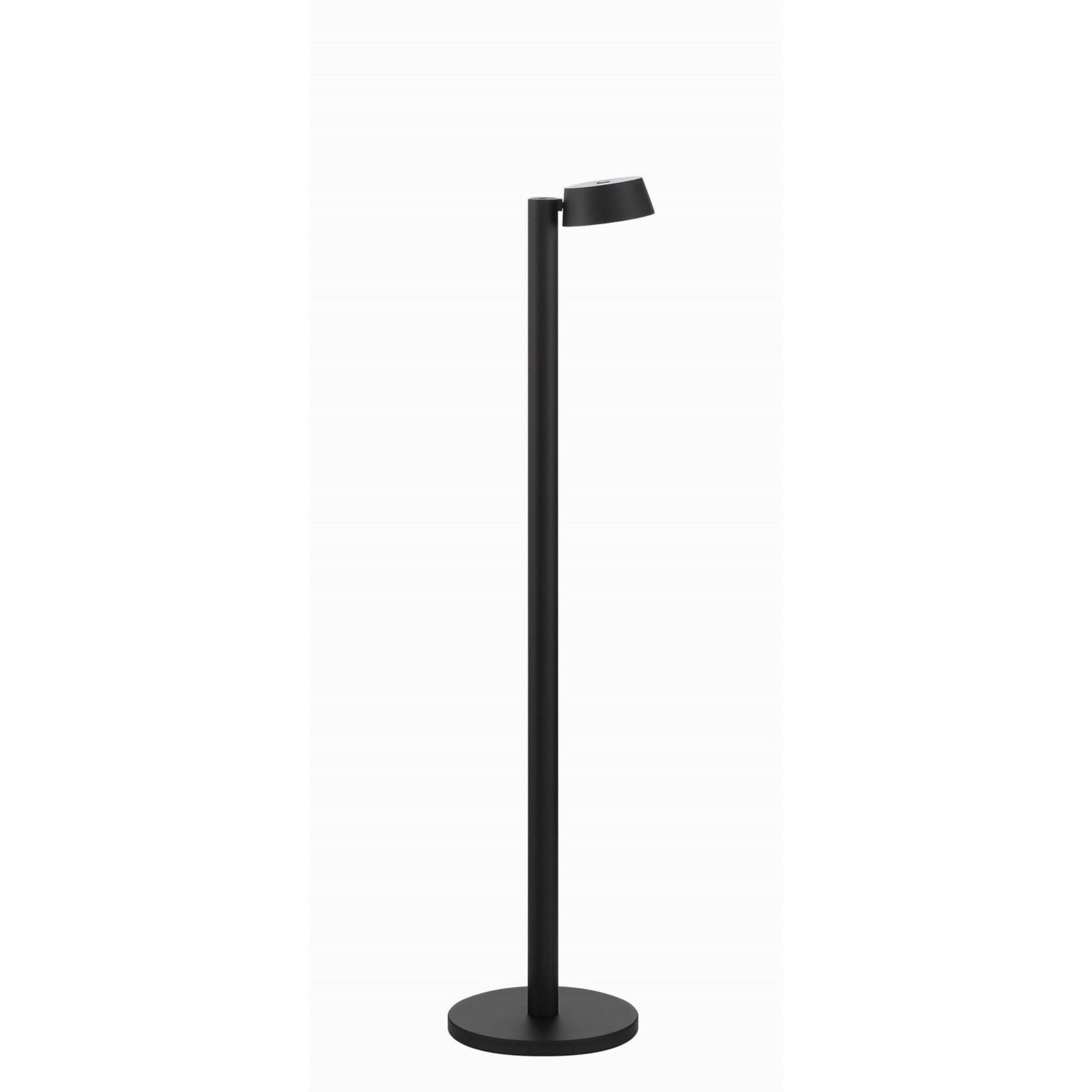 Task Portables 36" LED Floor Lamp, Coal Finish - Bees Lighting