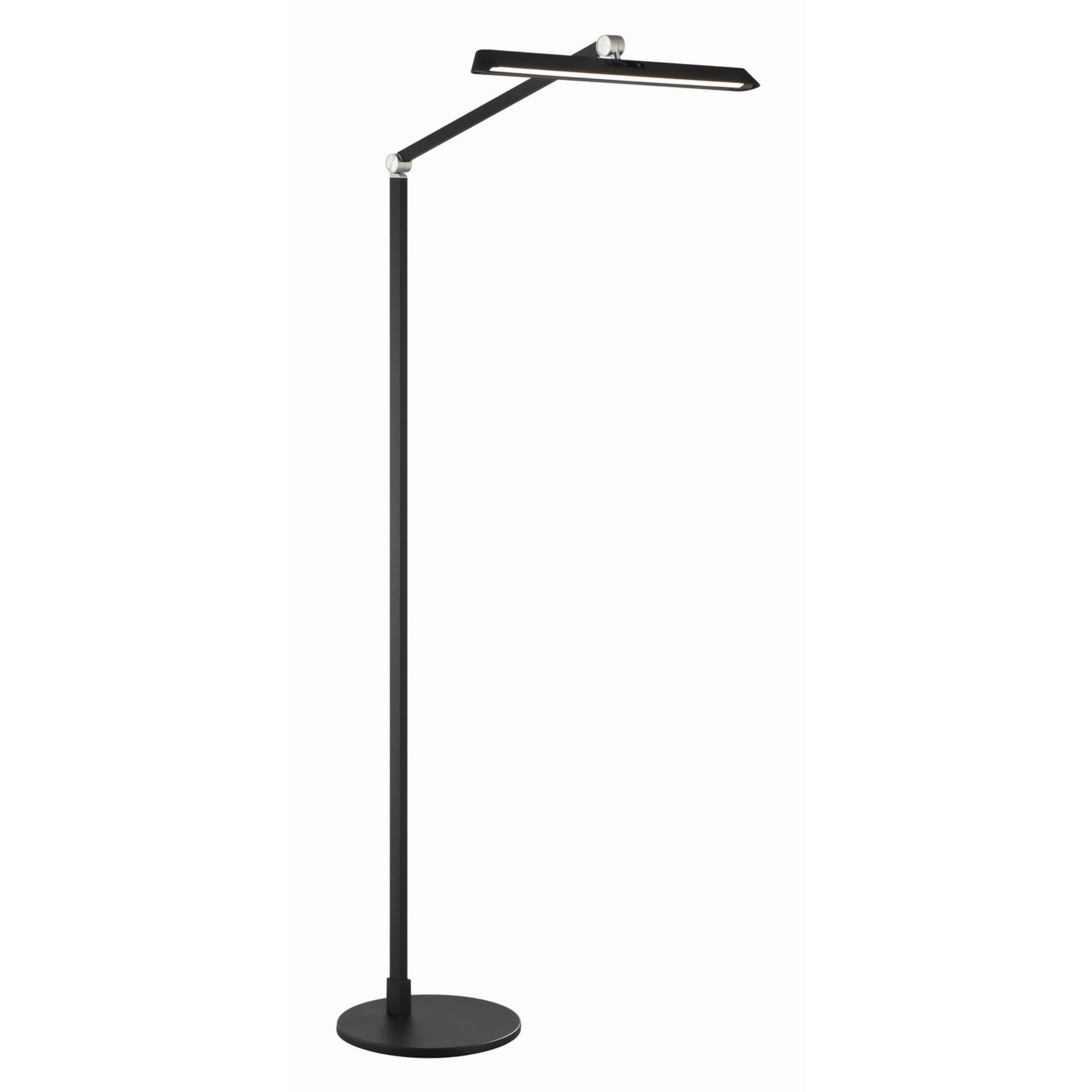 Portables LED Floor Lamp, Coal Finish - Bees Lighting
