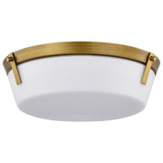 Rowen Flush Mount Light, Etched White Glass - Bees Lighting