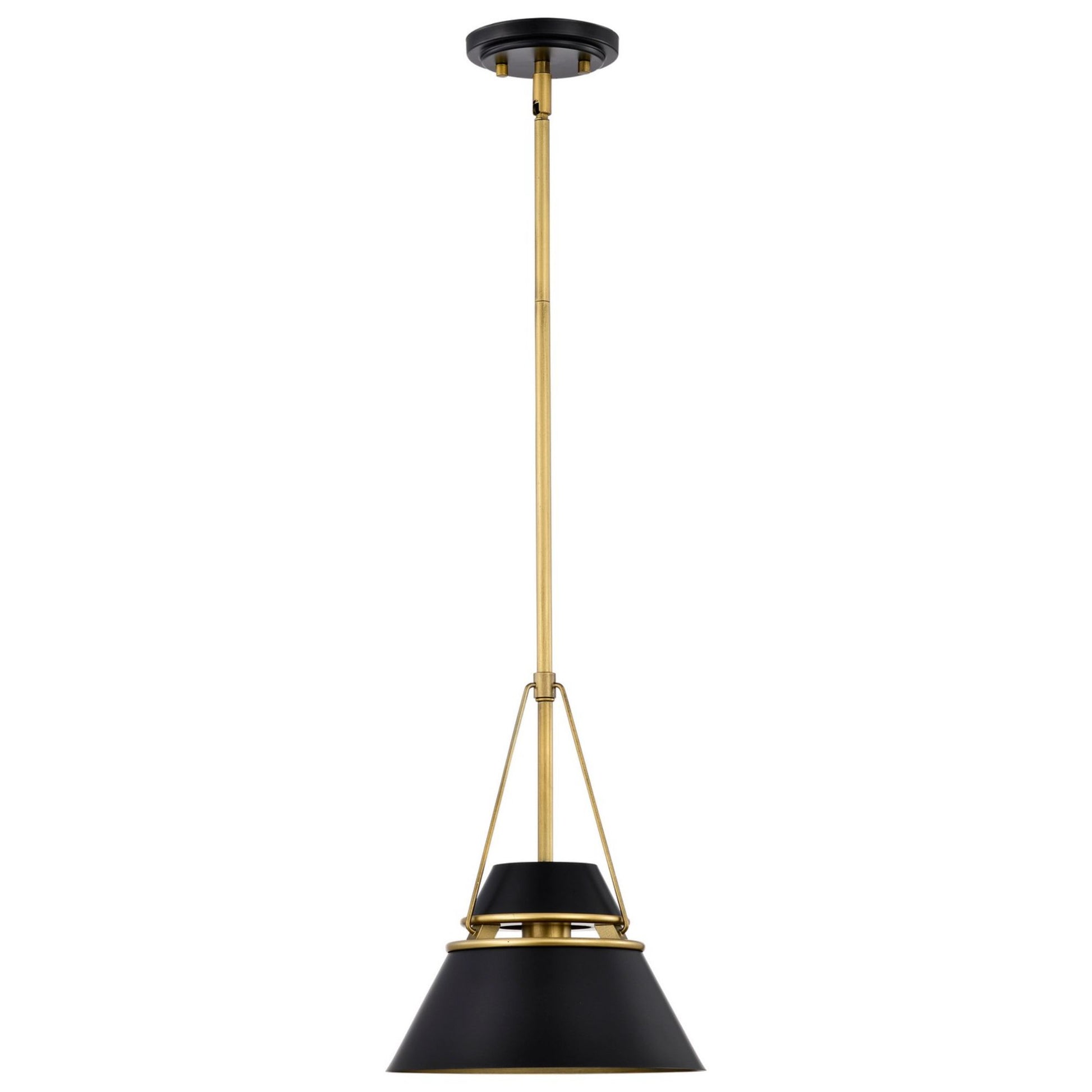 Adina 10" Pendant, Matte Black and Natural Brass Finish - Bees Lighting