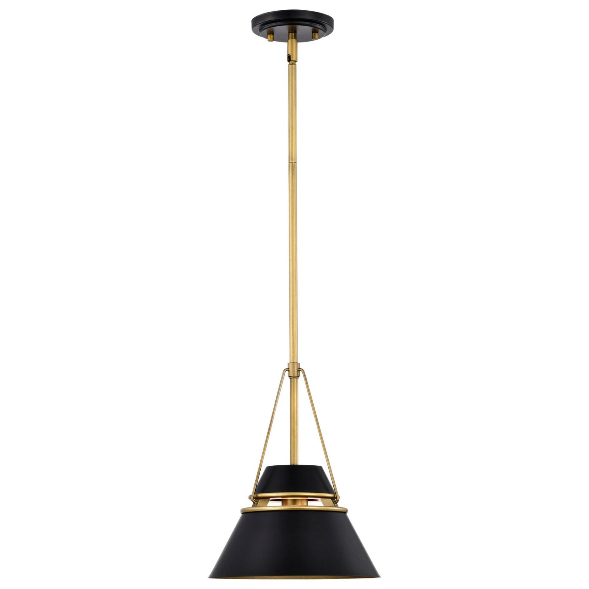 Adina 10" Pendant, Matte Black and Natural Brass Finish - Bees Lighting