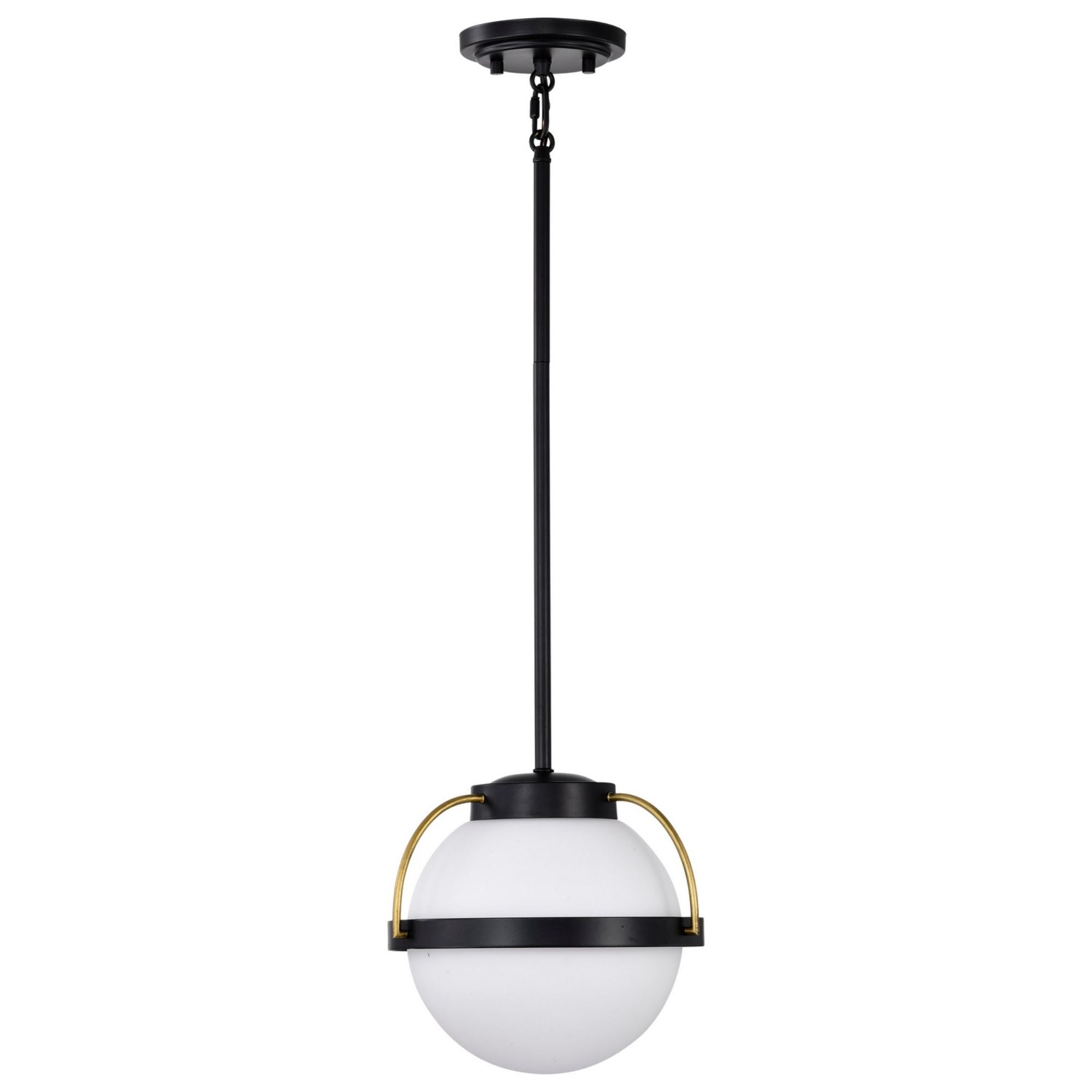 Lakeshore 10" Pendant, Matte Black Finish - Bees Lighting