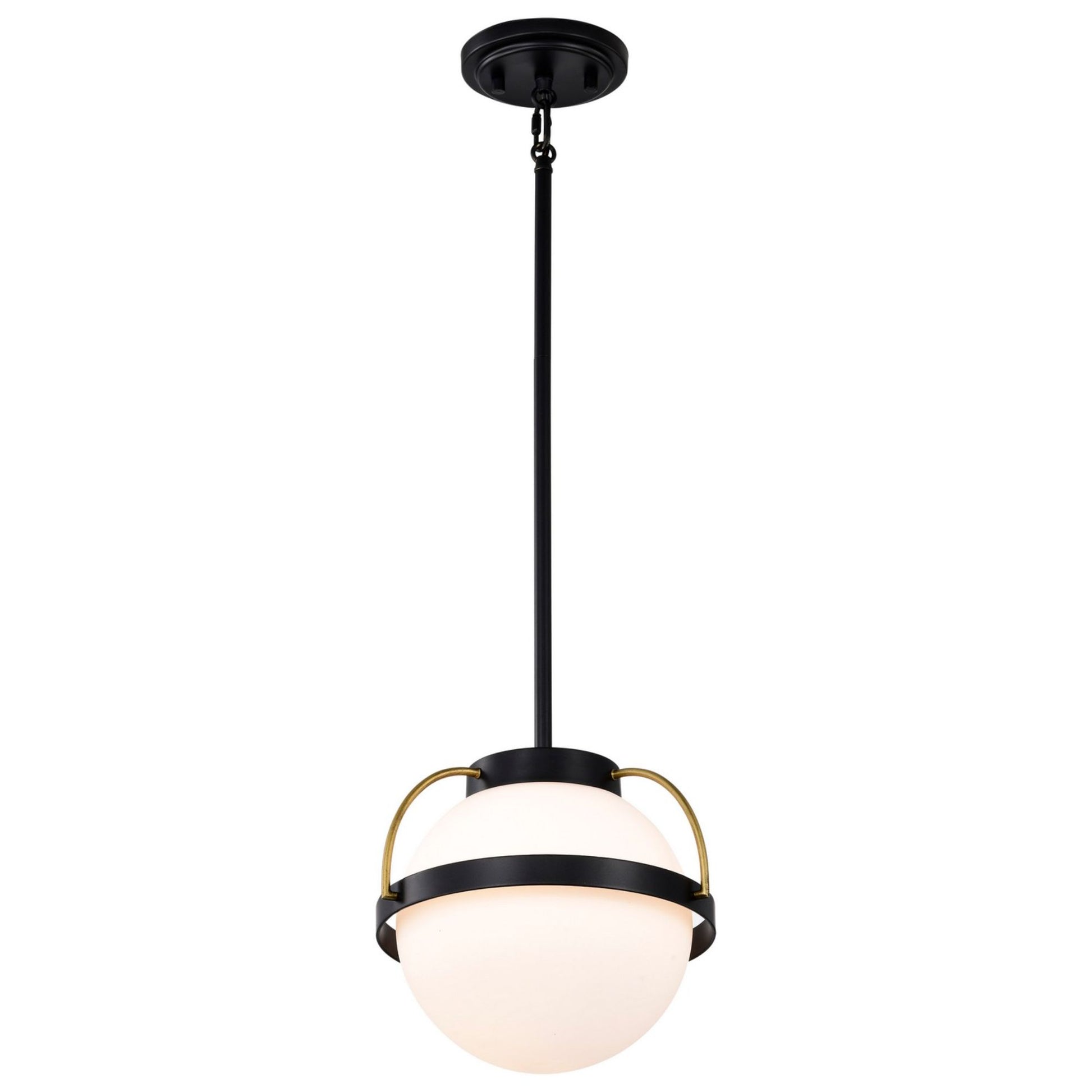 Lakeshore 10" Pendant, Matte Black Finish - Bees Lighting
