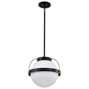 Lakeshore 1 Light Pendant Light, White Opal Glass - Bees Lighting