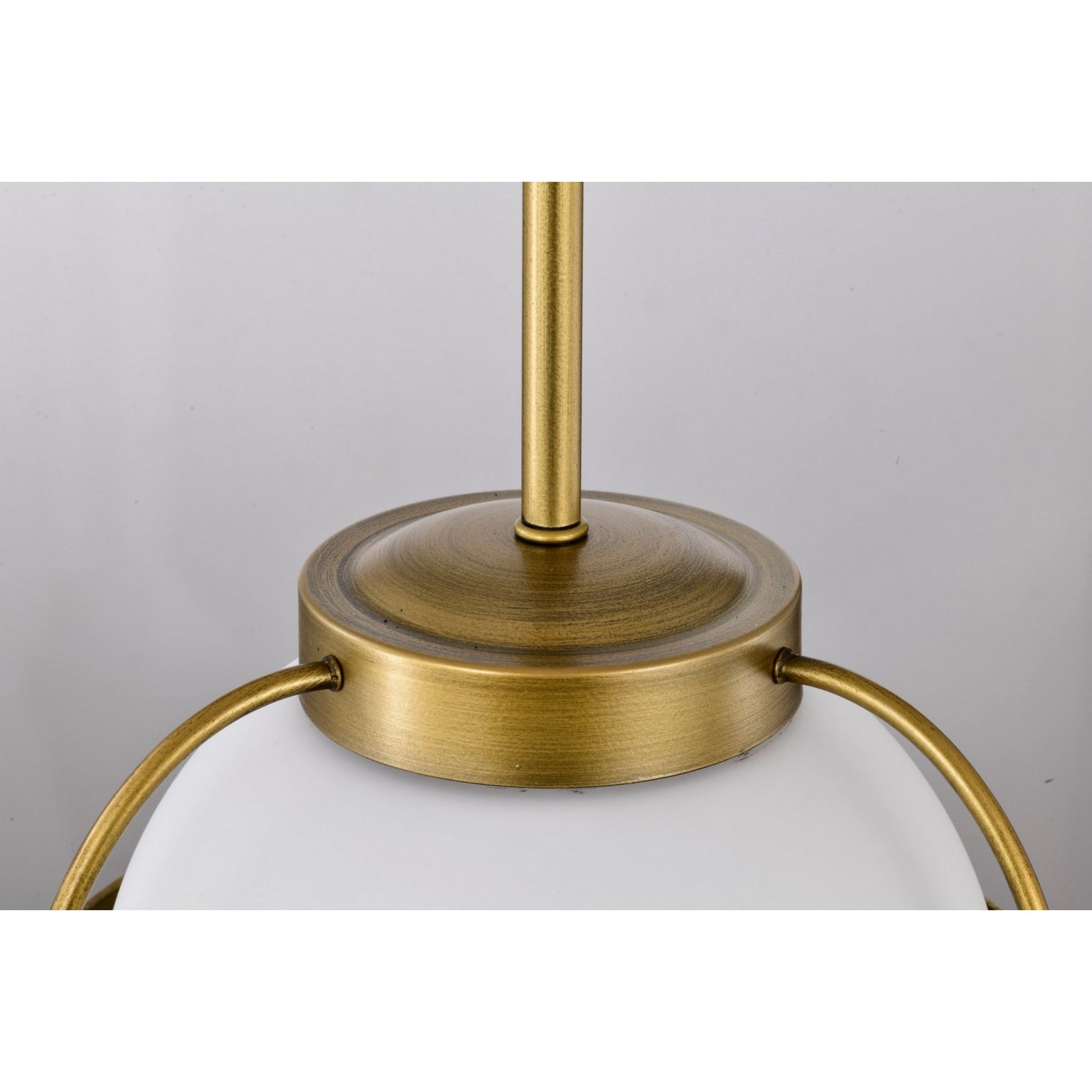 Lakeshore 10" Pendant, Natural Brass Finish - Bees Lighting