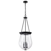 Boliver 3 Lights Pendant Light, Clear Seeded Glass - Bees Lighting