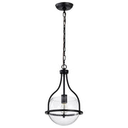 Amado Pendant Light, Clear Glass - Bees Lighting