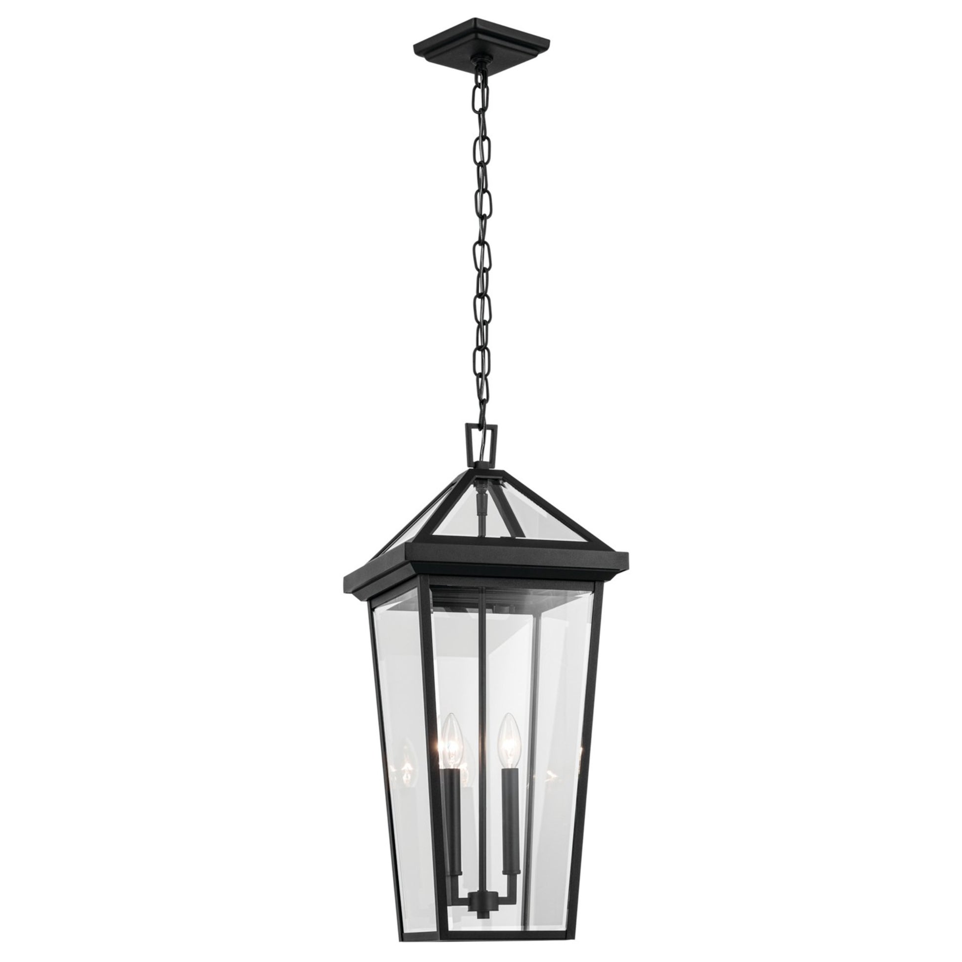 Regence 26" 2-Light Outdoor Pendant, Textured Black Finish - Bees Lighting