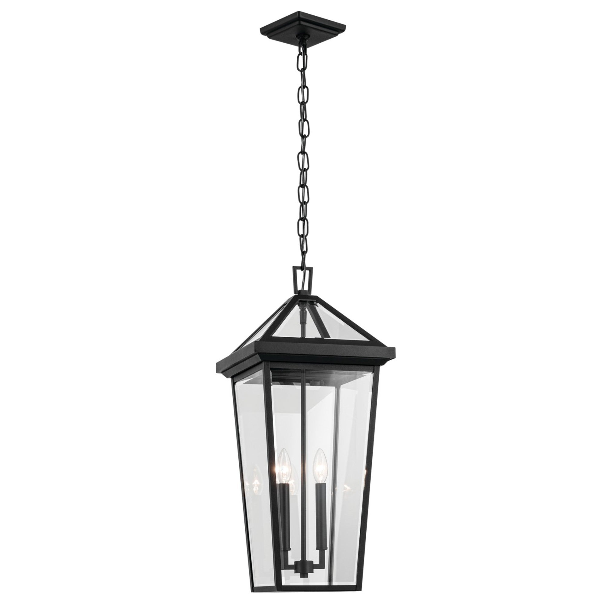 Regence 26" 2-Light Outdoor Pendant, Textured Black Finish - Bees Lighting