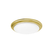 Baron 12" LED Flush Mount, Satin Brass Finish - Bees Lighting
