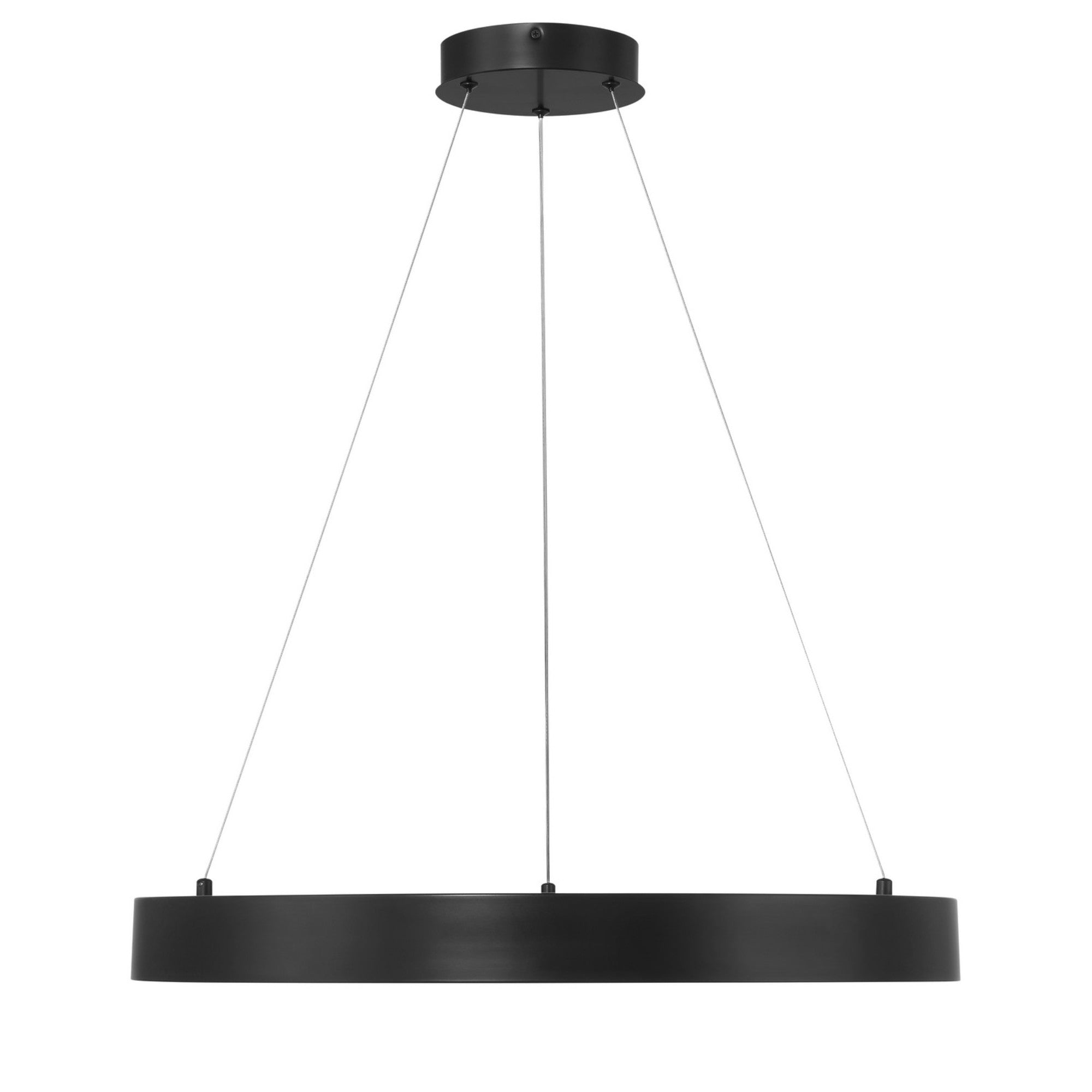 Conc 24" LED Pendant, Coal Finish - Bees Lighting