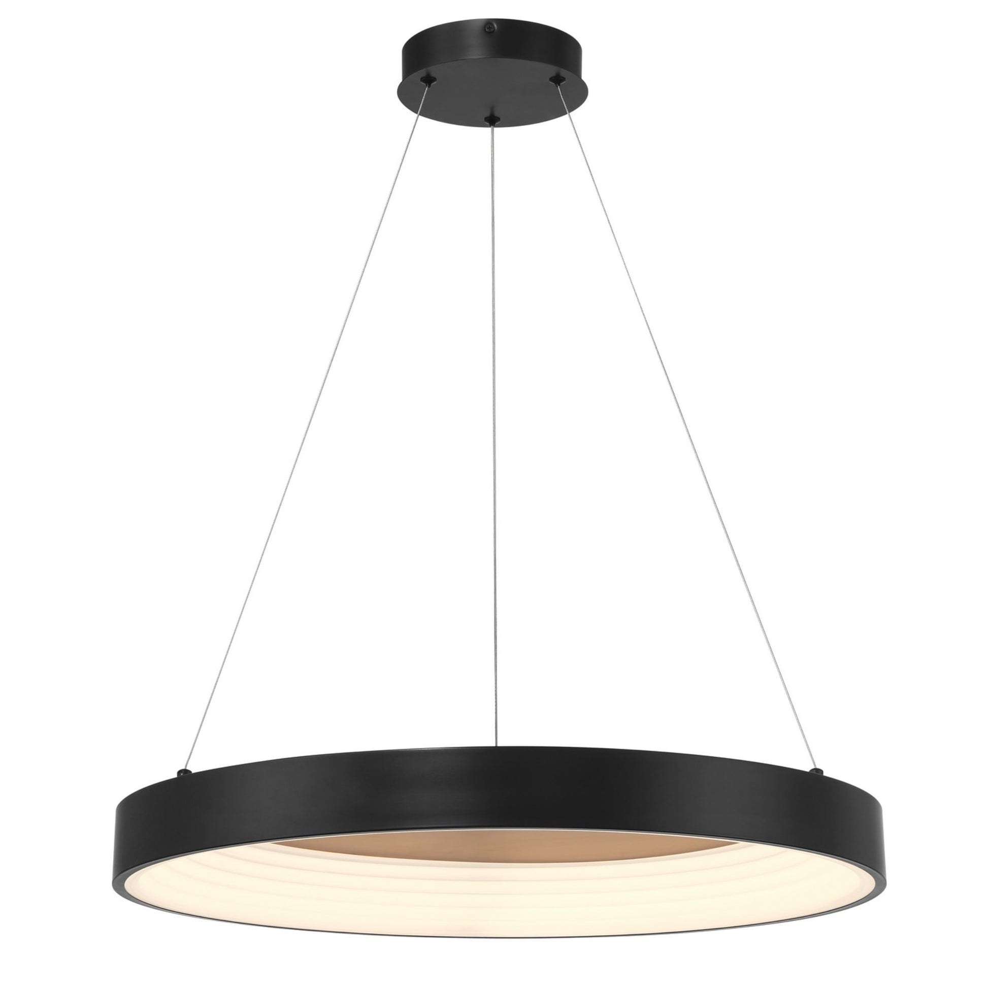 Conc 24" LED Pendant, Coal Finish - Bees Lighting