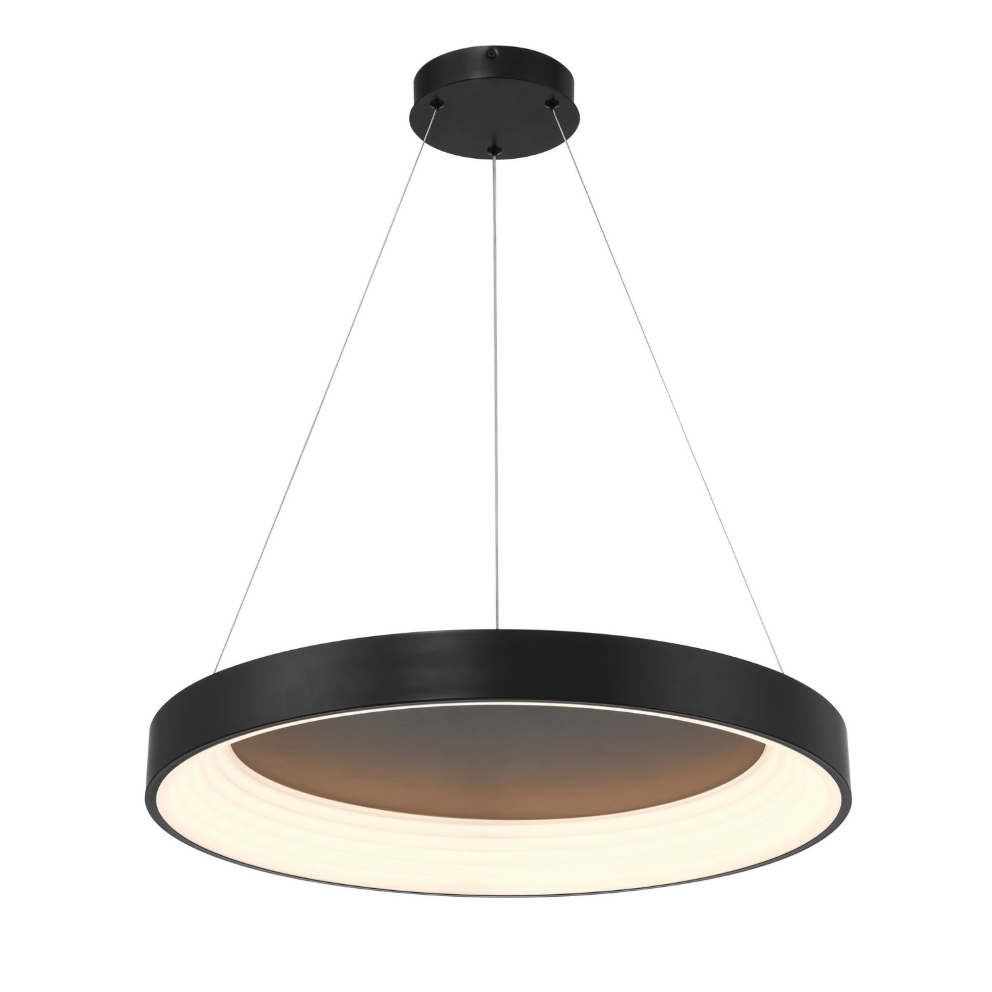 Conc 24" LED Pendant, Coal Finish - Bees Lighting