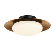 Zinola LED Flush Mount - Bees Lighting