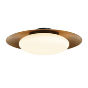 Zinola LED Flush Mount - Bees Lighting