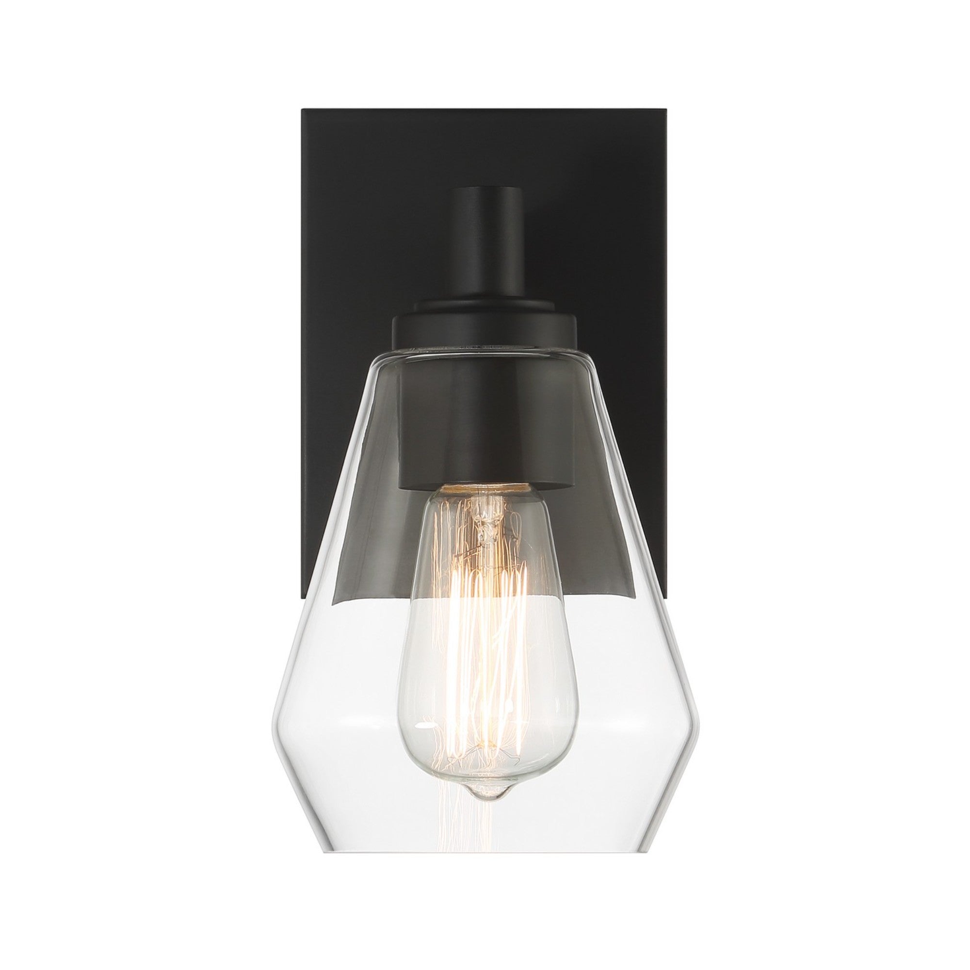 Clarity 10" Bathroom Vanity Light, Coal Finish - Bees Lighting