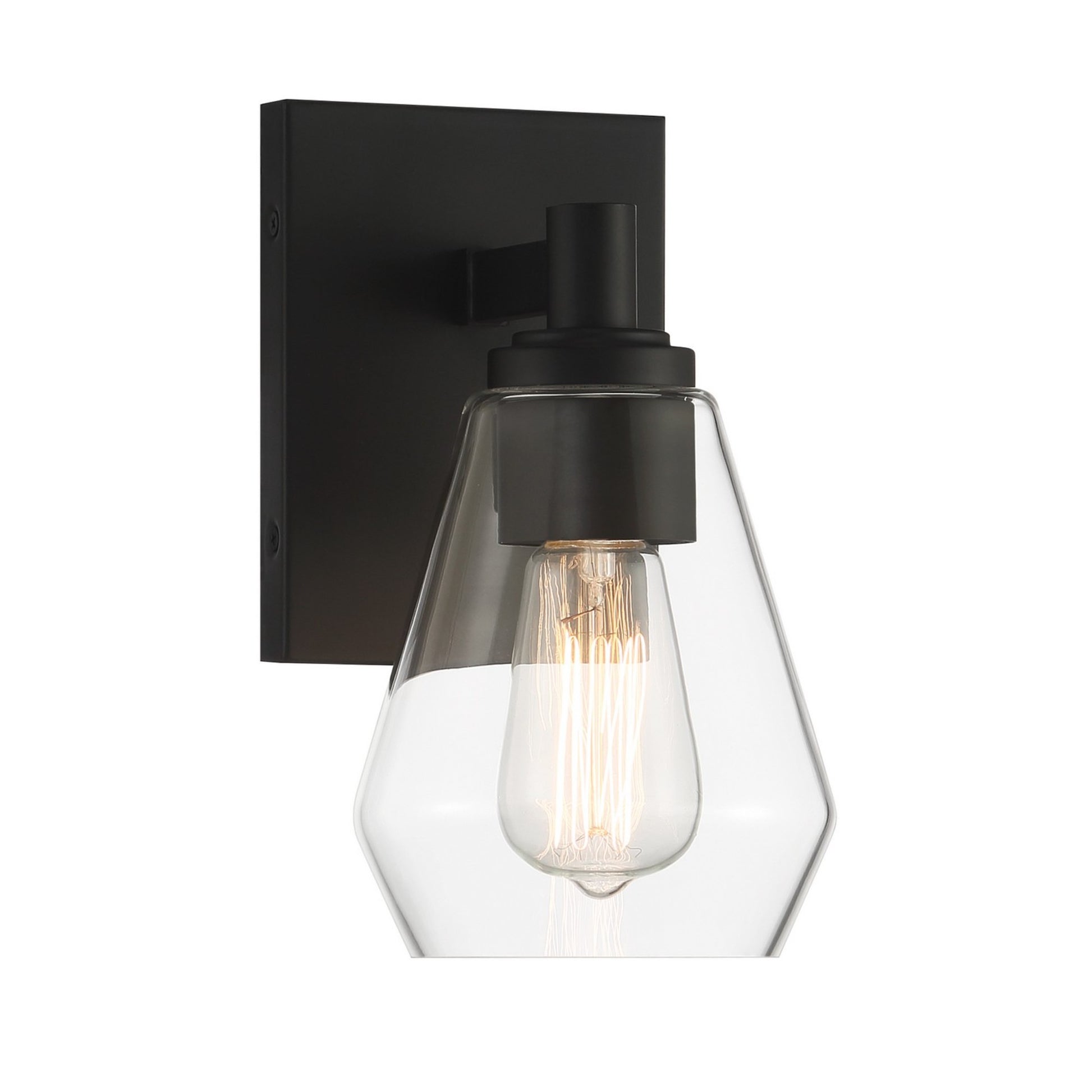 Clarity 10" Bathroom Vanity Light, Coal Finish - Bees Lighting