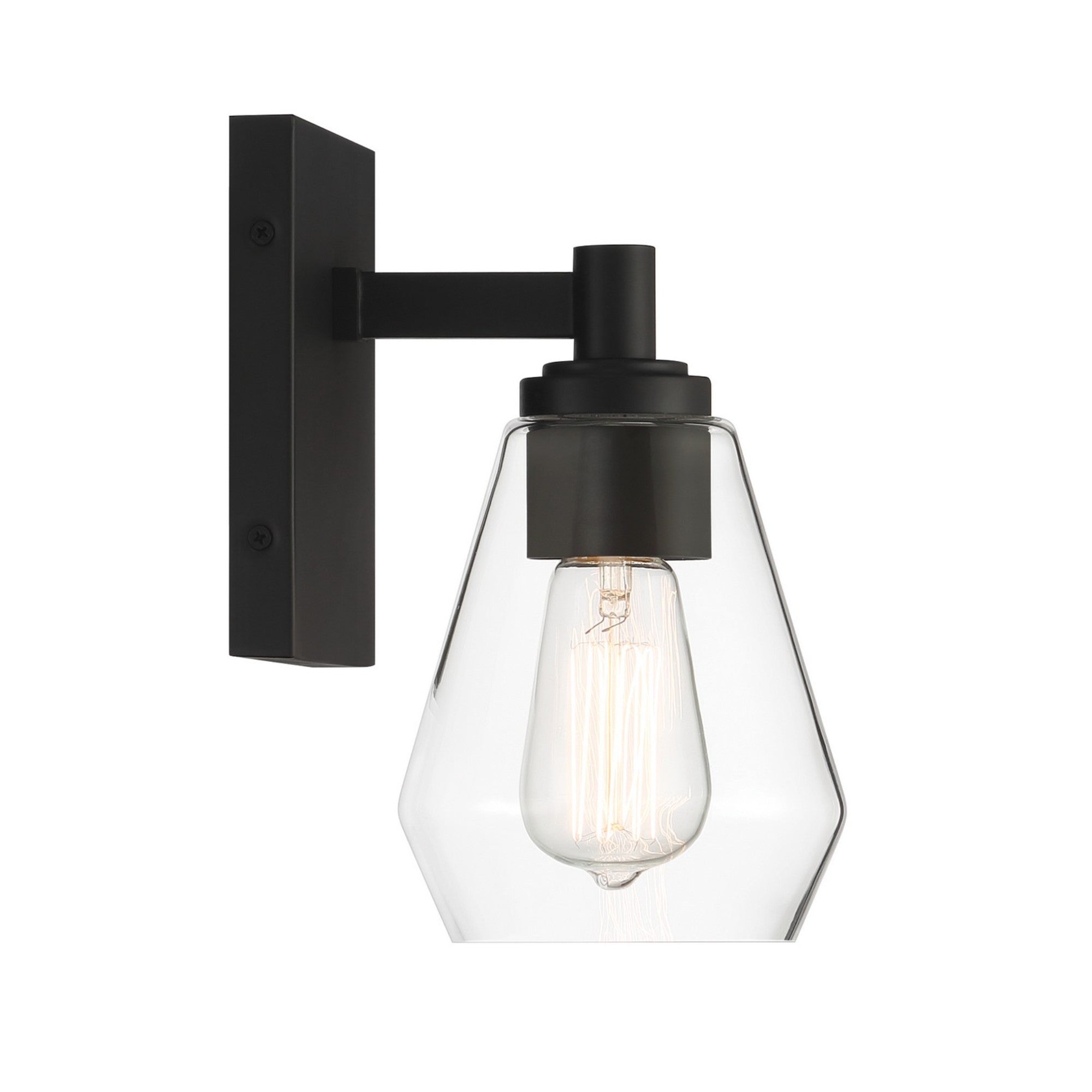 Clarity 10" Bathroom Vanity Light, Coal Finish - Bees Lighting