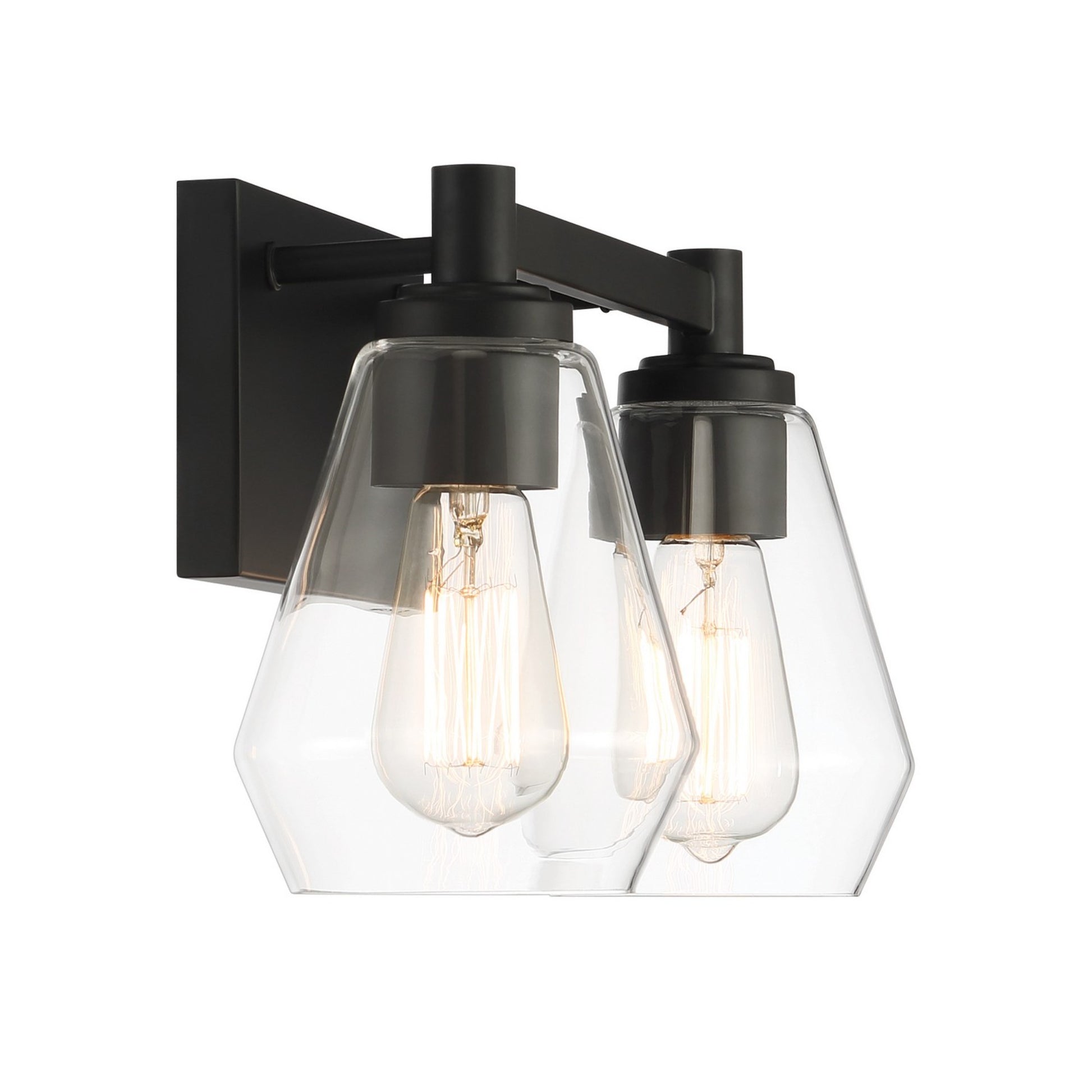 Clarity 16" 2-Light Bath Vanity, Coal Finish - Bees Lighting