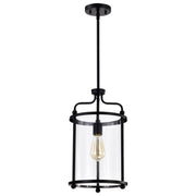 Yorktown 10 in. 1 Light Pendant Light, Clear Glass - Bees Lighting