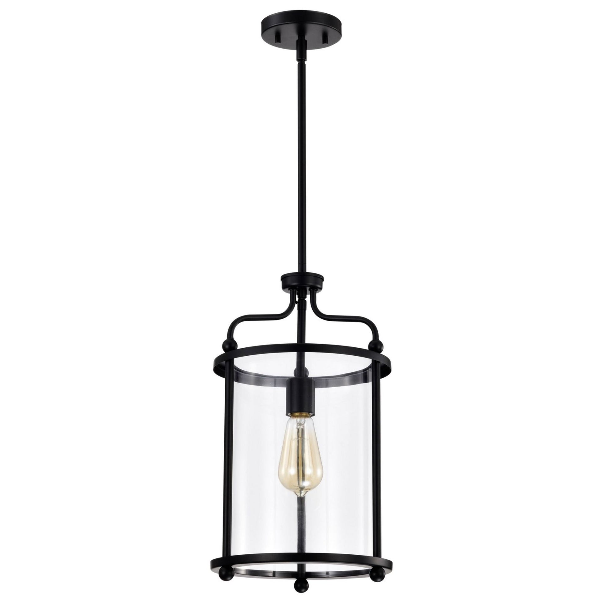 Yorktown 10 in. 1 Light Pendant Light, Clear Glass - Bees Lighting