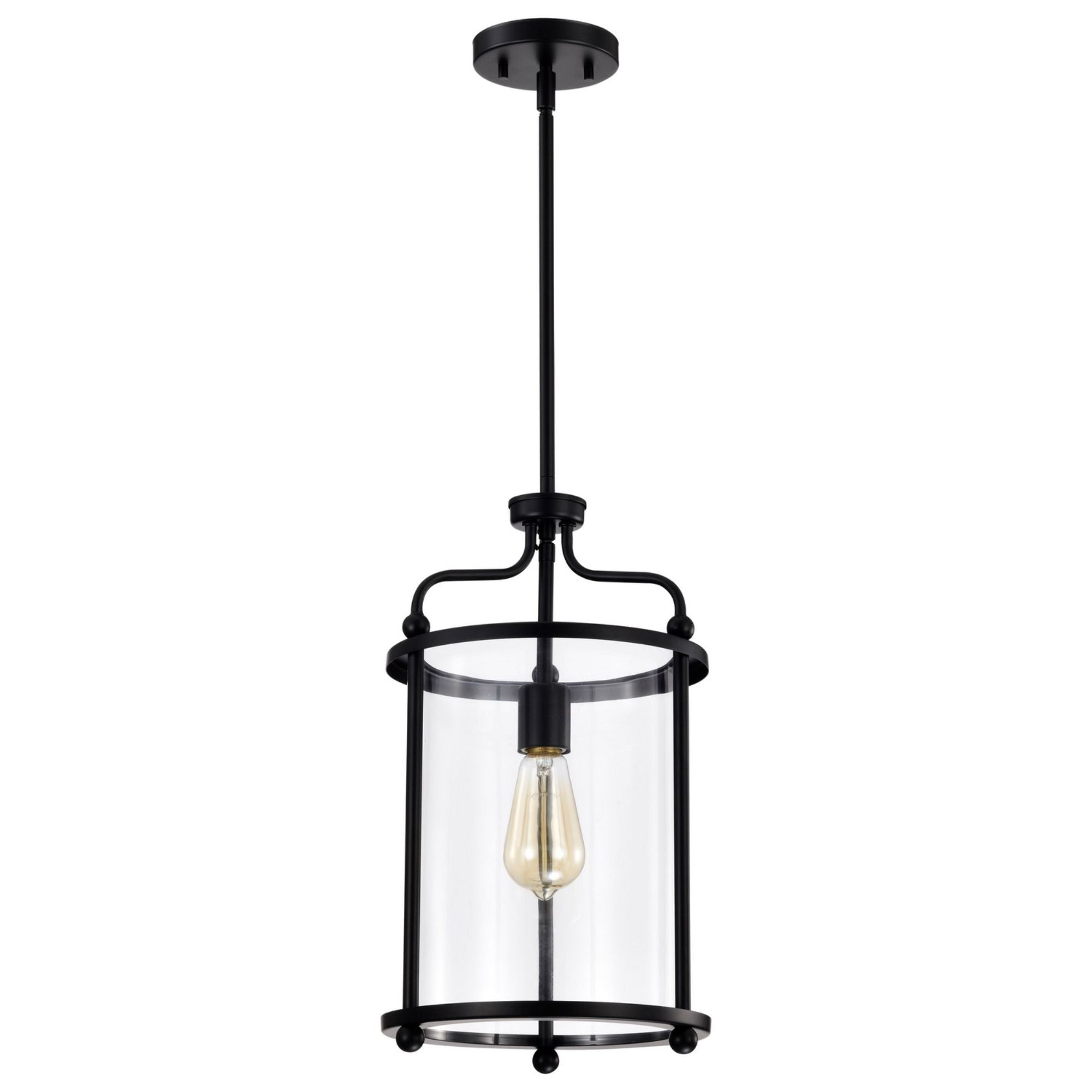 Yorktown 10 in. 1 Light Pendant Light, Clear Glass - Bees Lighting