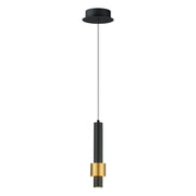 Reveal LED Mini Pendant, Black & Gold Finish - Bees Lighting