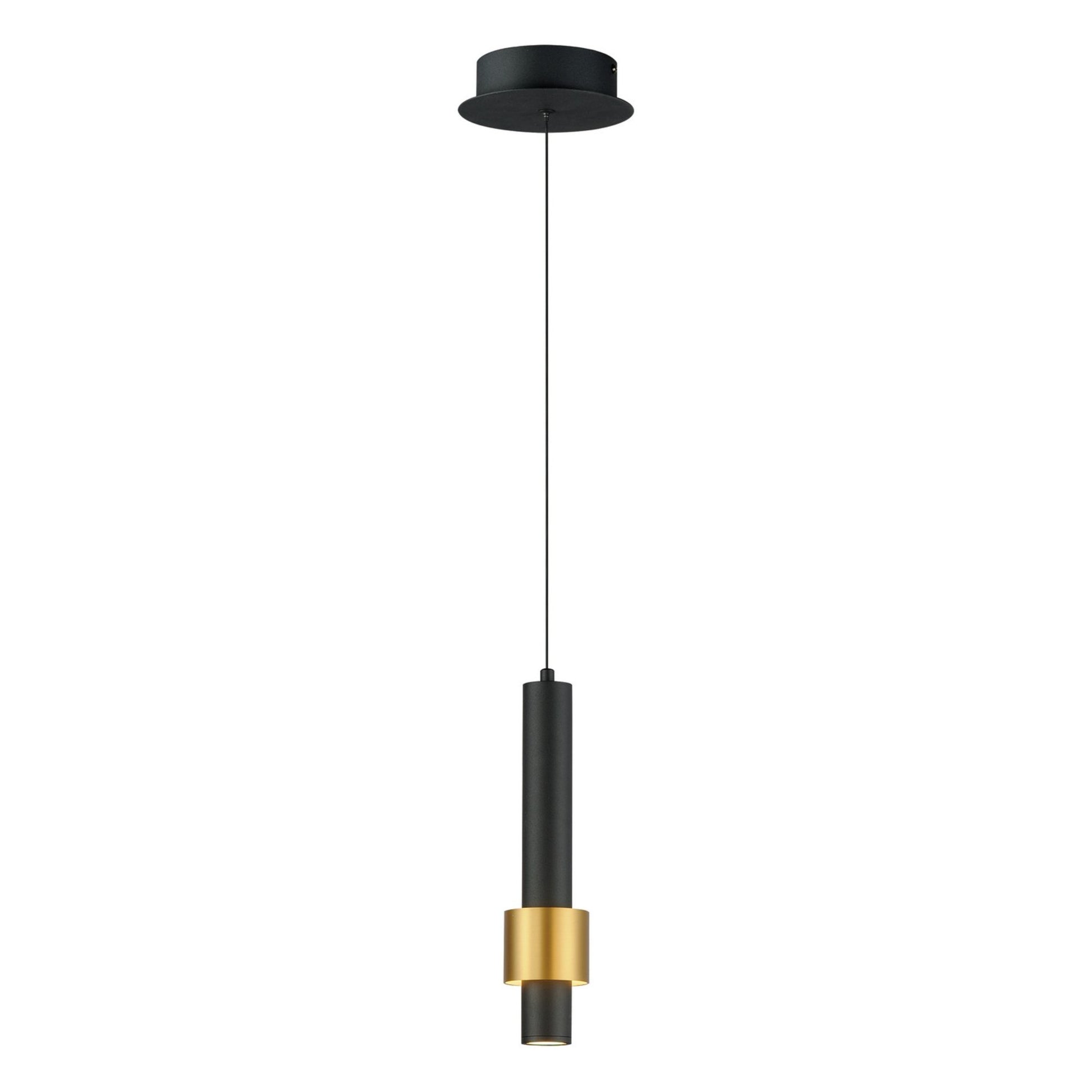Reveal LED Mini Pendant, Black & Gold Finish - Bees Lighting