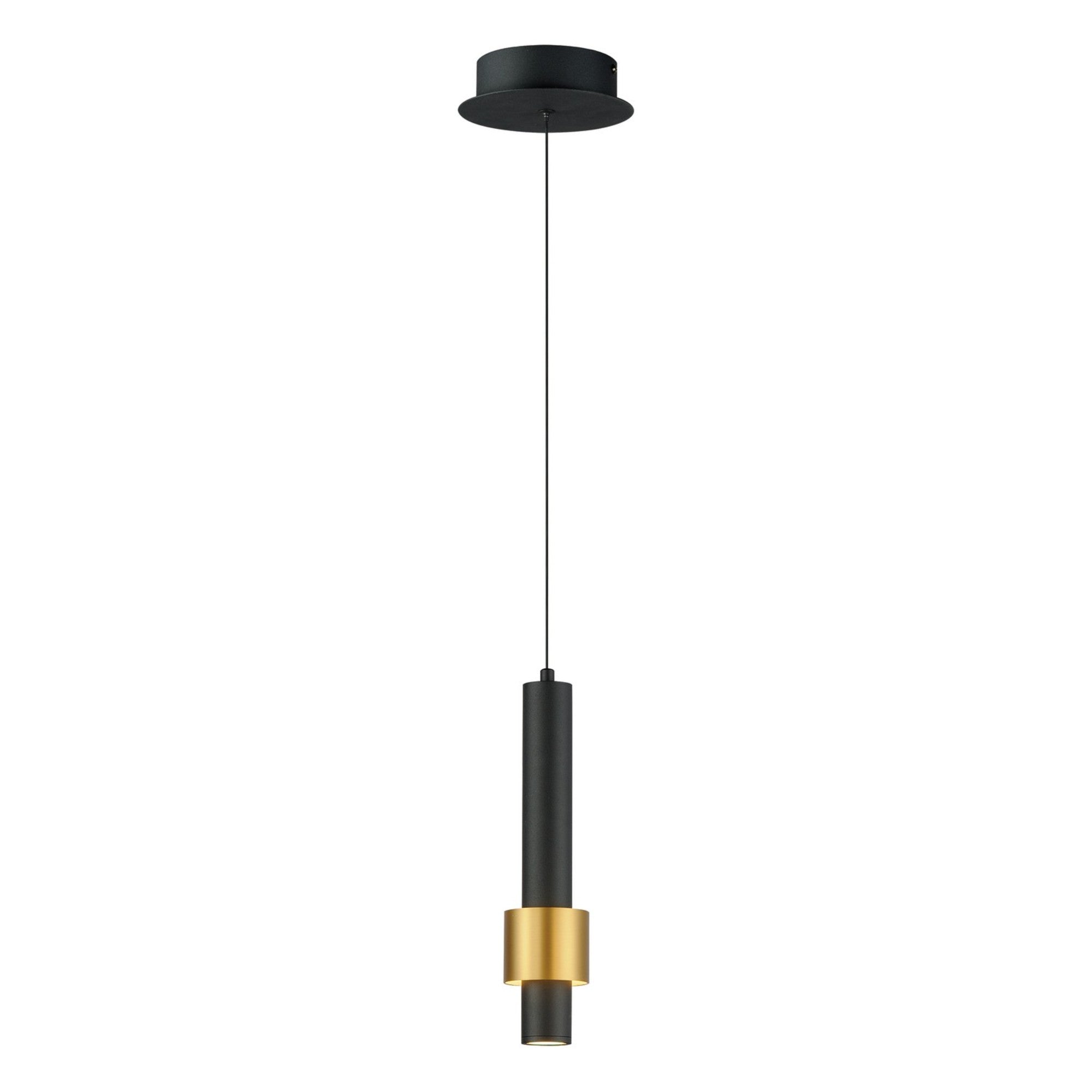 Reveal LED Mini Pendant, Black & Gold Finish - Bees Lighting