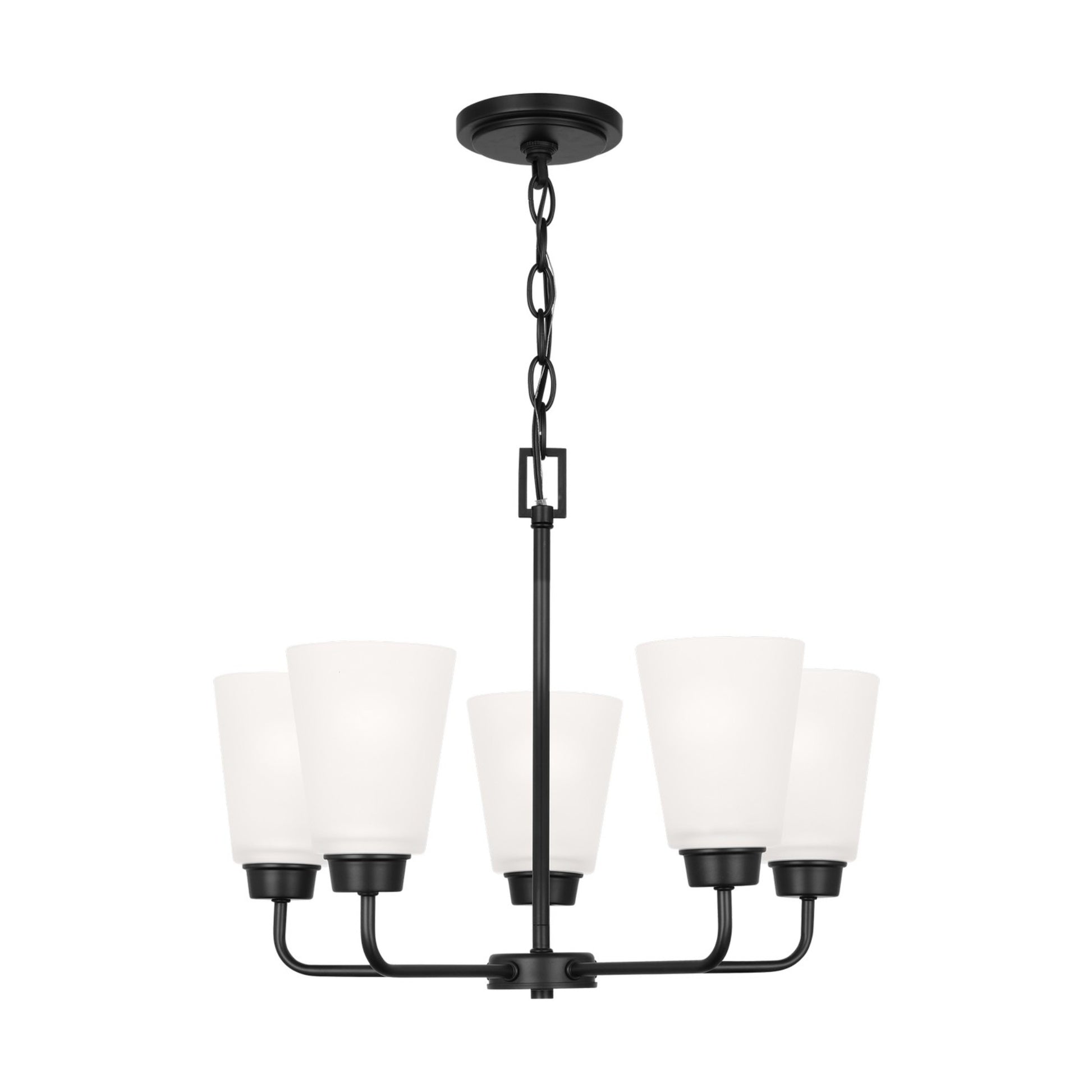Kerrville 20" 5-Light Chandelier, Midnight Black Finish - Bees Lighting