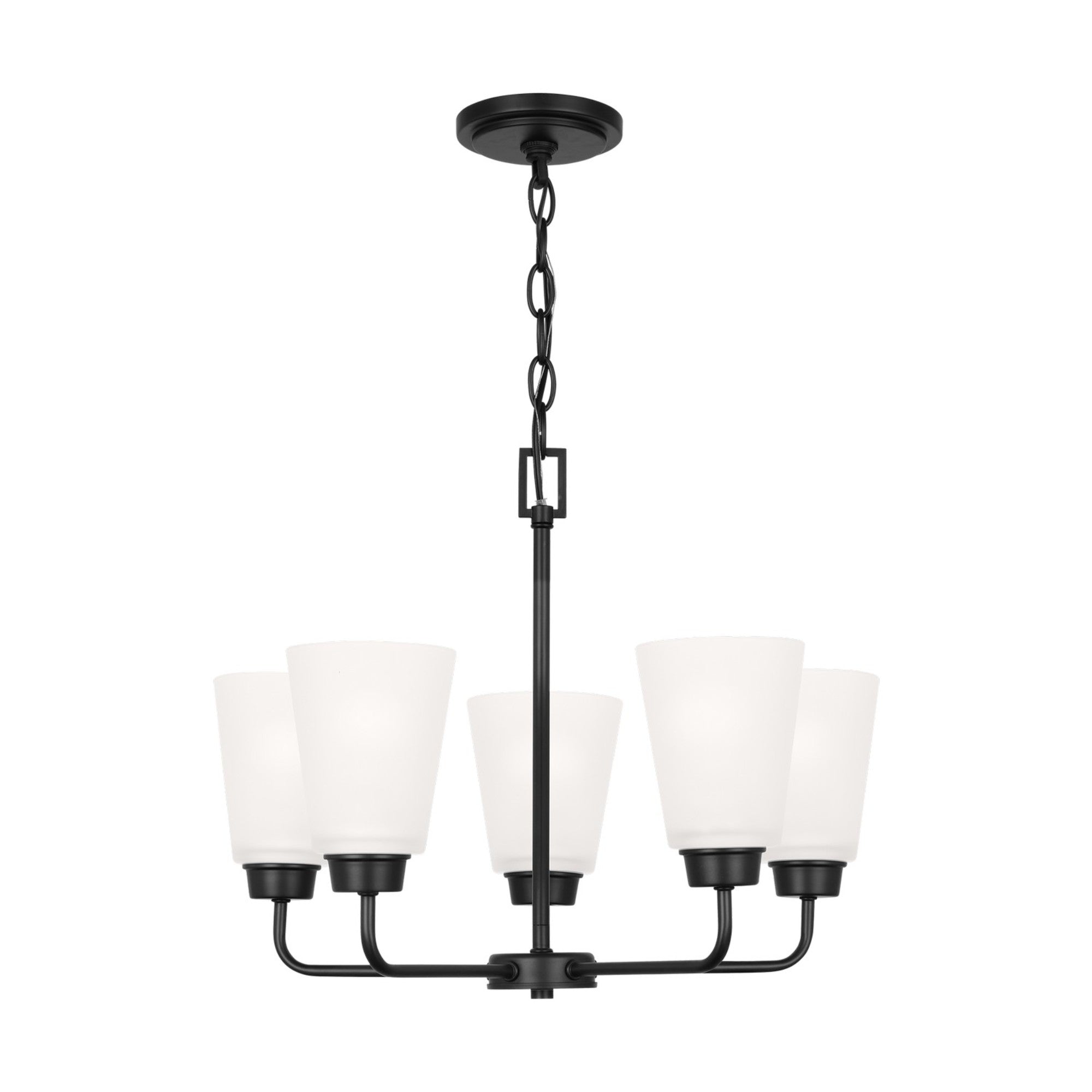 Kerrville 20" 5-Light Chandelier, Midnight Black Finish - Bees Lighting