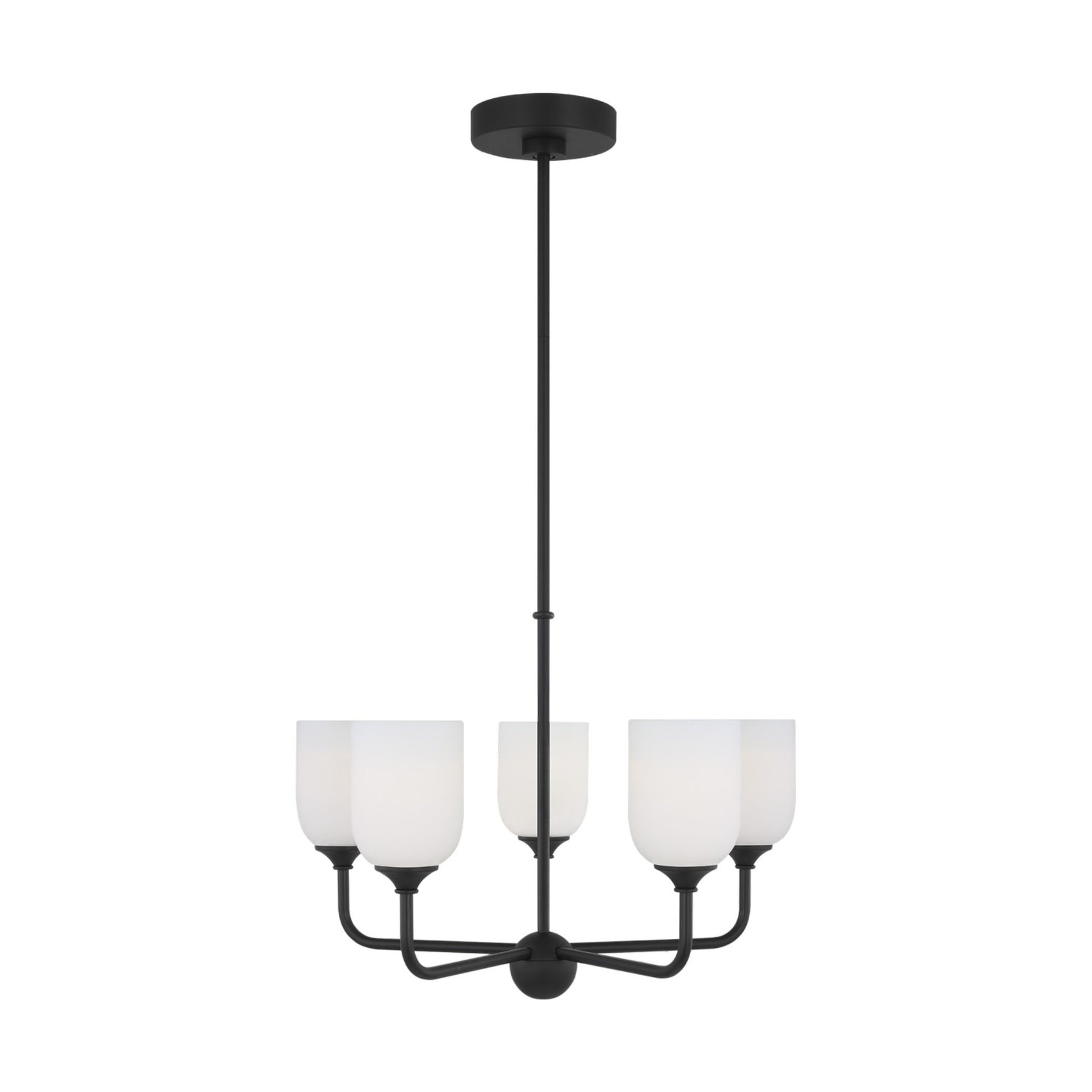 Emile 20" 5-Light Medium Chandelier, Midnight Black Finish - Bees Lighting