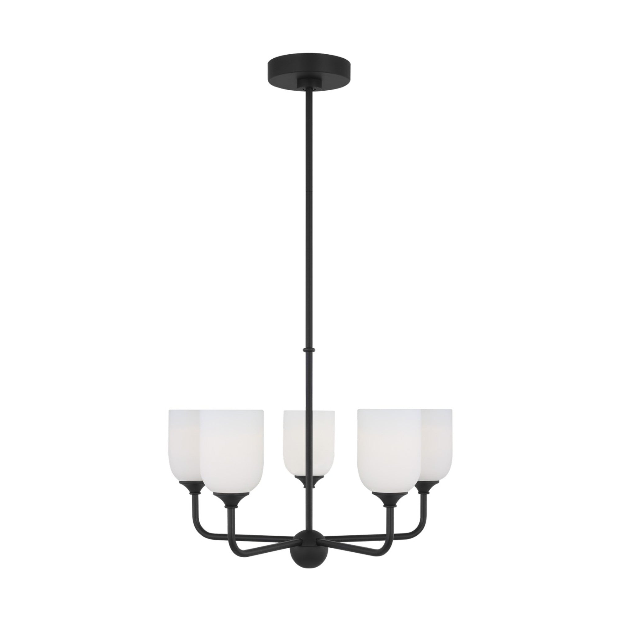Emile 20" 5-Light Medium Chandelier, Midnight Black Finish - Bees Lighting