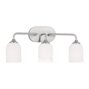 Emile 22" 3-Light Large Vanity, Brushed Steel Finish - Bees Lighting