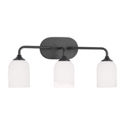 Emile 22" 3-Light Large Vanity, Midnight Black Finish - Bees Lighting