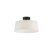 Paramount 16" LED Flush Mount, Black Finish - Bees Lighting