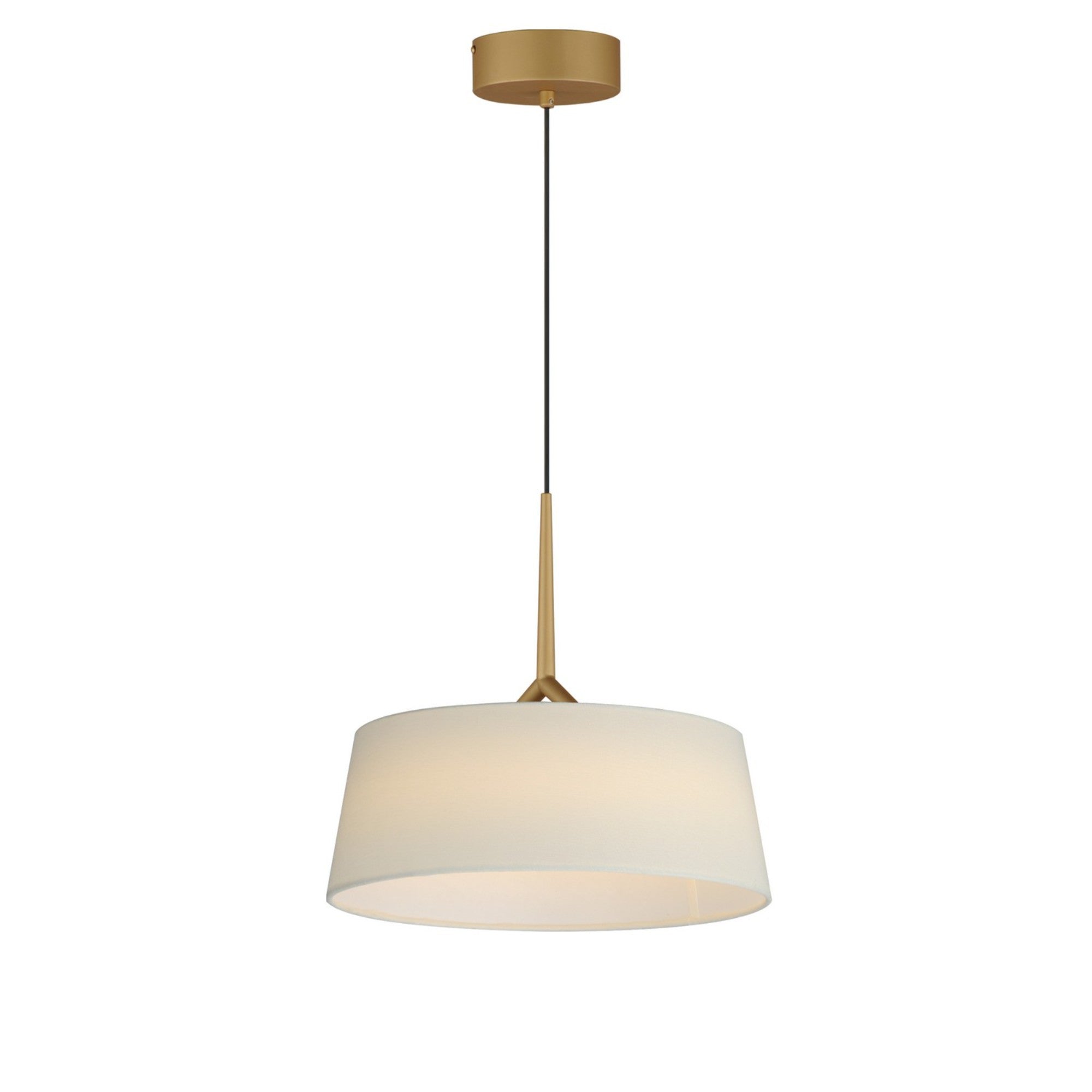 Paramount 16" LED Pendant, Natural Aged Brass Finish - Bees Lighting