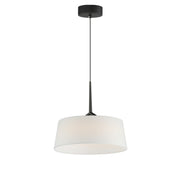 Paramount 16" LED Pendant, Black Finish - Bees Lighting