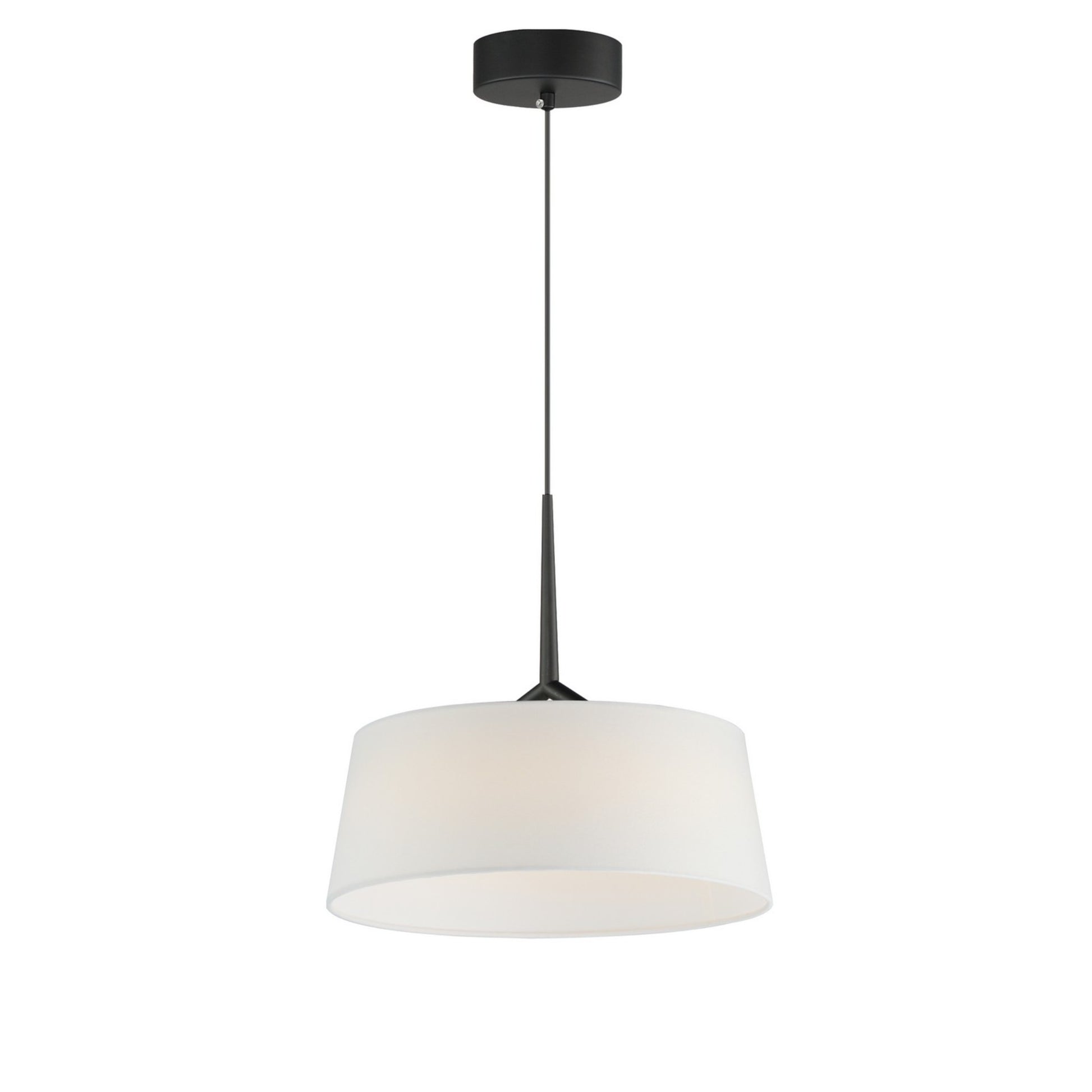 Paramount 16" LED Pendant, Black Finish - Bees Lighting