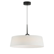 Paramount 21" LED Pendant, Black Finish - Bees Lighting