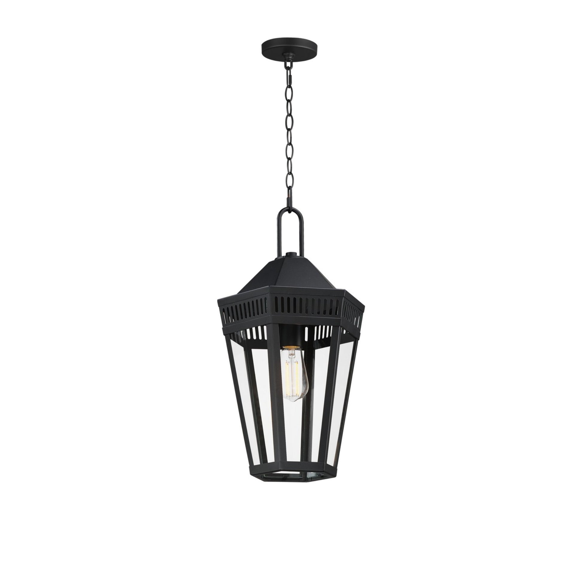 Oxford 20" Outdoor Pendant, Black Finish - Bees Lighting