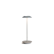 Royyo Silver With Silver Modern LED Desk Lamp with USB Port - Bees Lighting