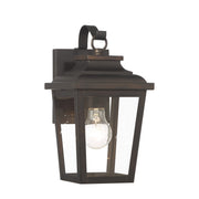 Irvington Manor 12" Outdoor Wall Sconce with Clear Glass, Chelesa Bronze Finish - Bees Lighting